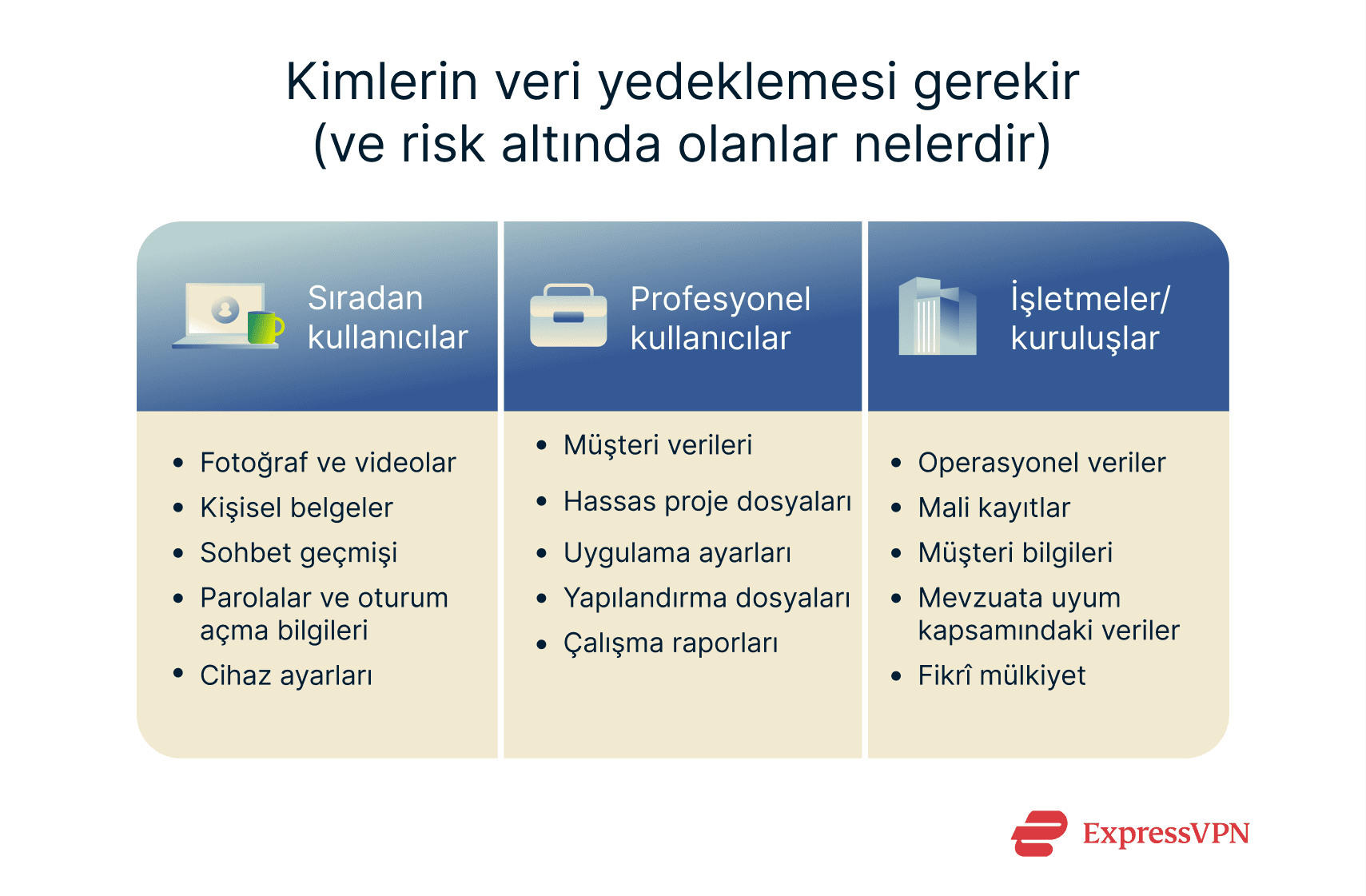 An overview of what everyday users, professionals, and businesses/organizations could lose if they don't back up their data.