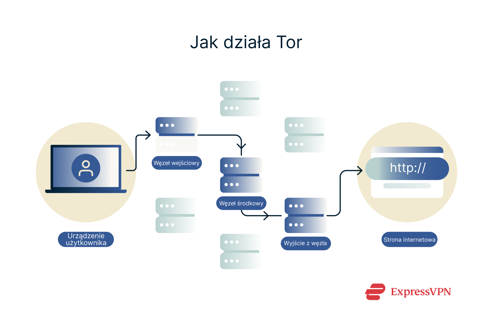 A diagram showing how Tor works.