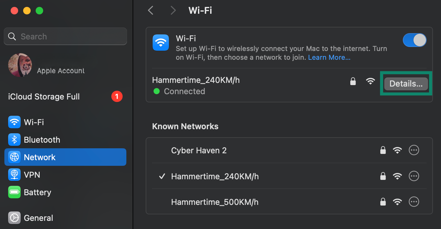 You must be connected to a network to change its DNS servers