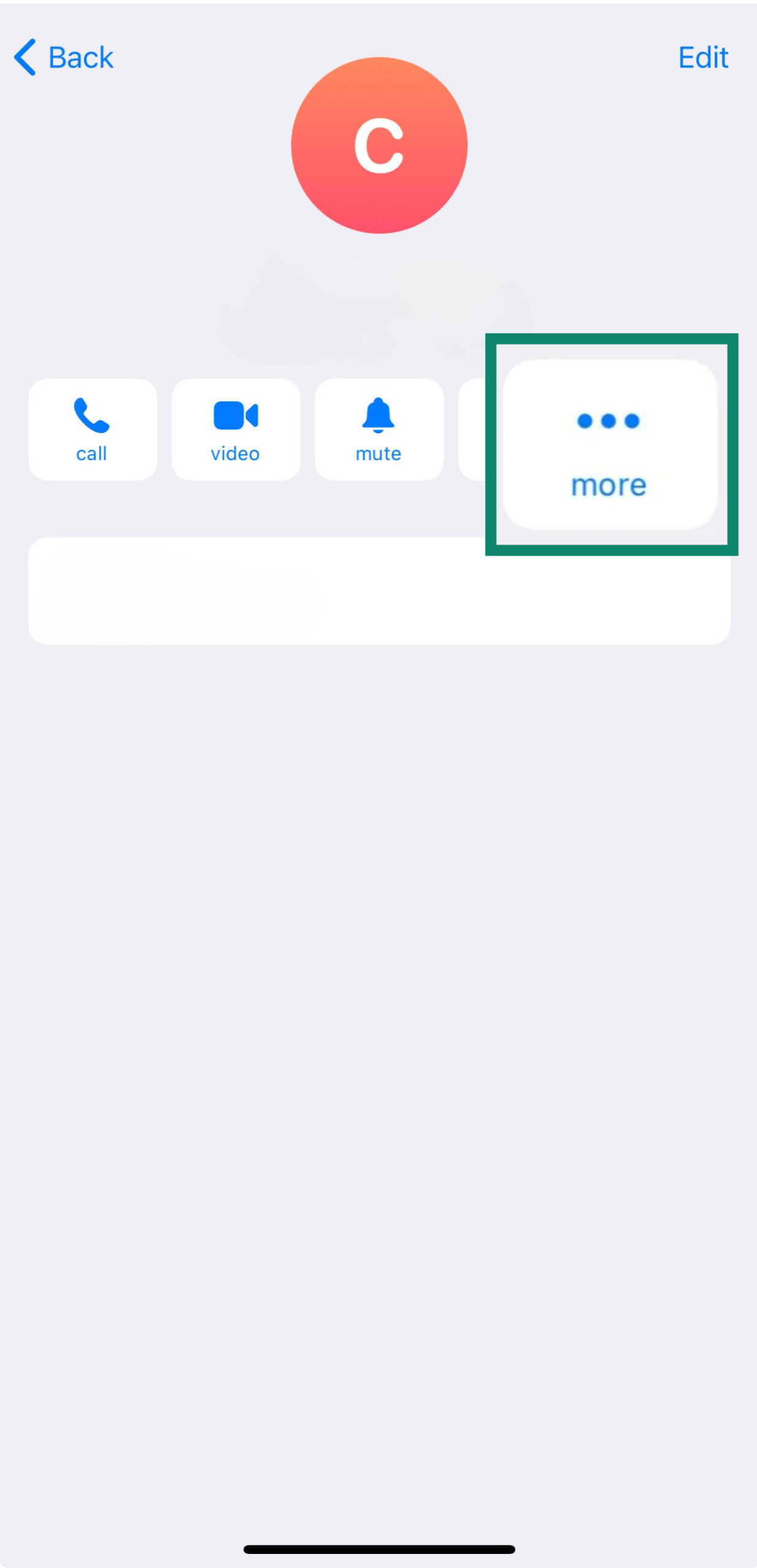 More options button in a Telegram chat for additional features.