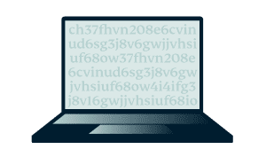 Encryption