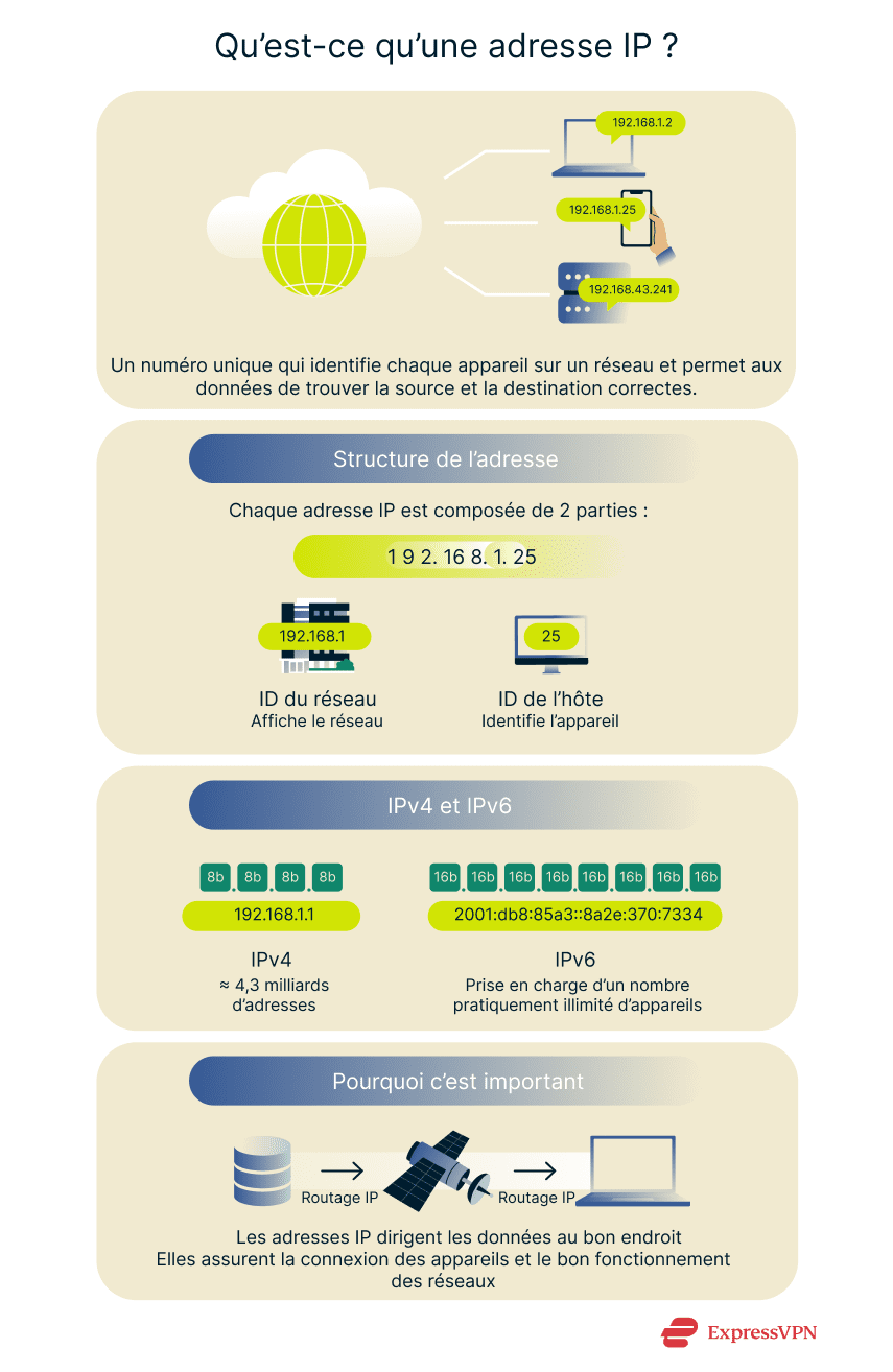 Infographie illustrant ce qu’est une adresse IP.