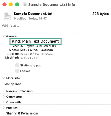 The Get Info window on macOS, showing a specific file's extension and type.