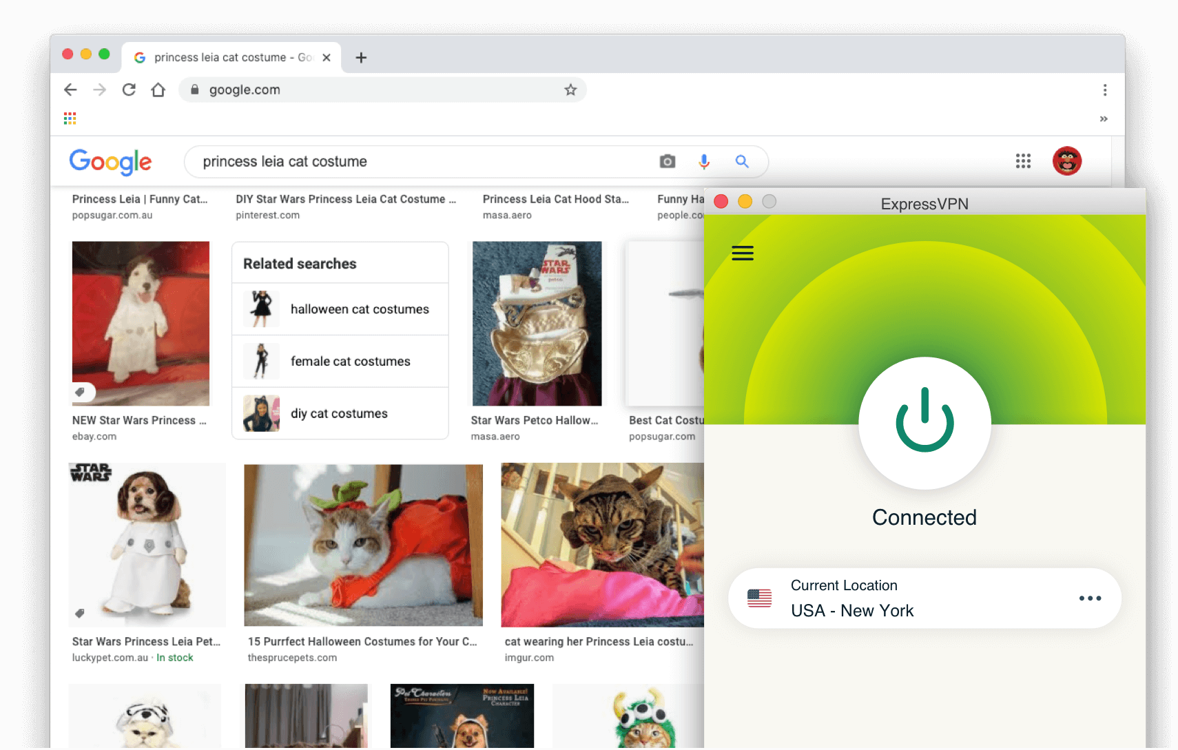 Résultats de la recherche Google : Costume de chat Princesse Leia avec ExpressVPN activé.