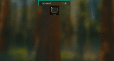 Open Terminal on macOS.