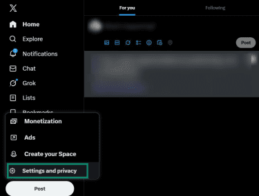 X app menu showing the Settings and privacy option highlighted.