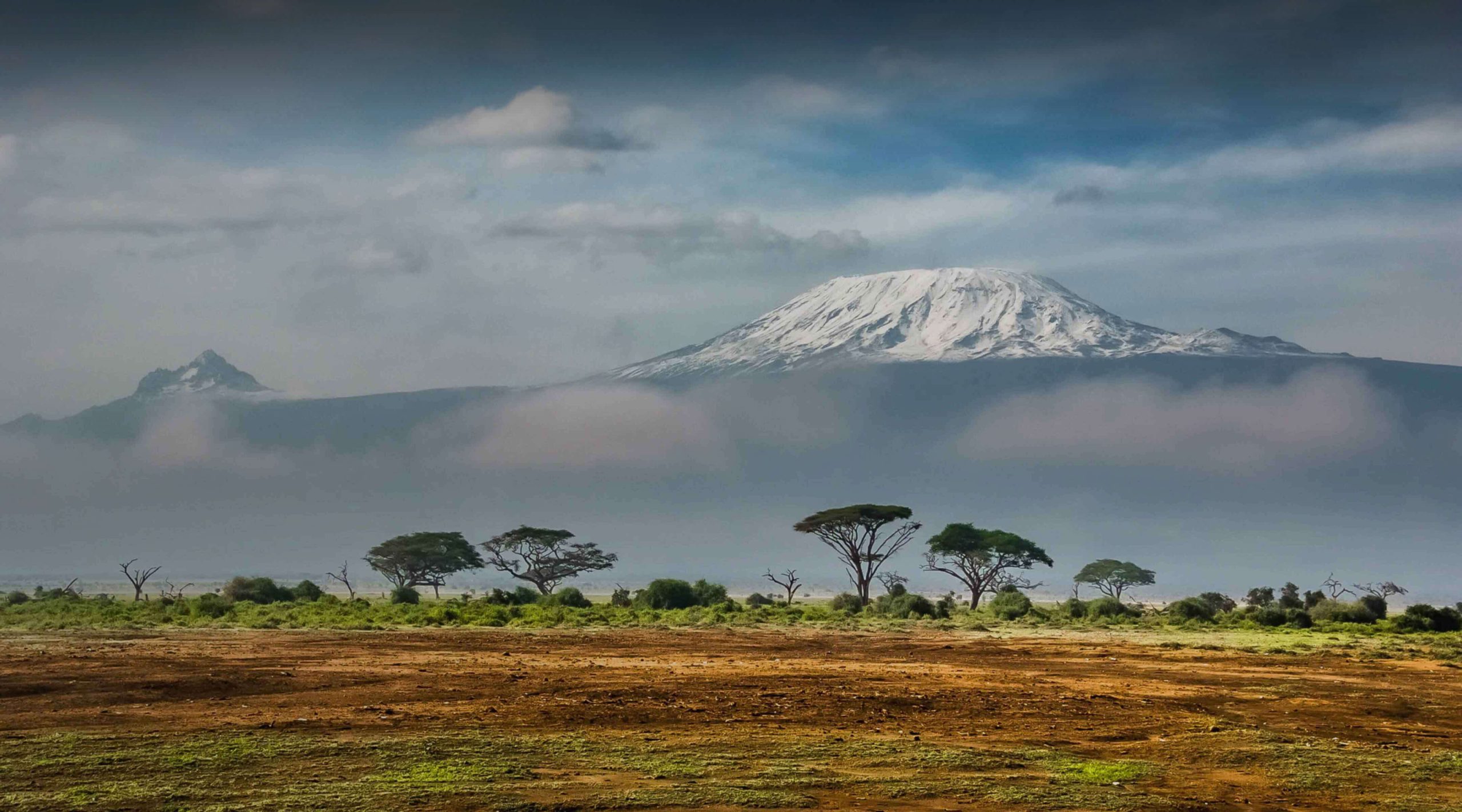ケニア対応おすすめVPNサービス