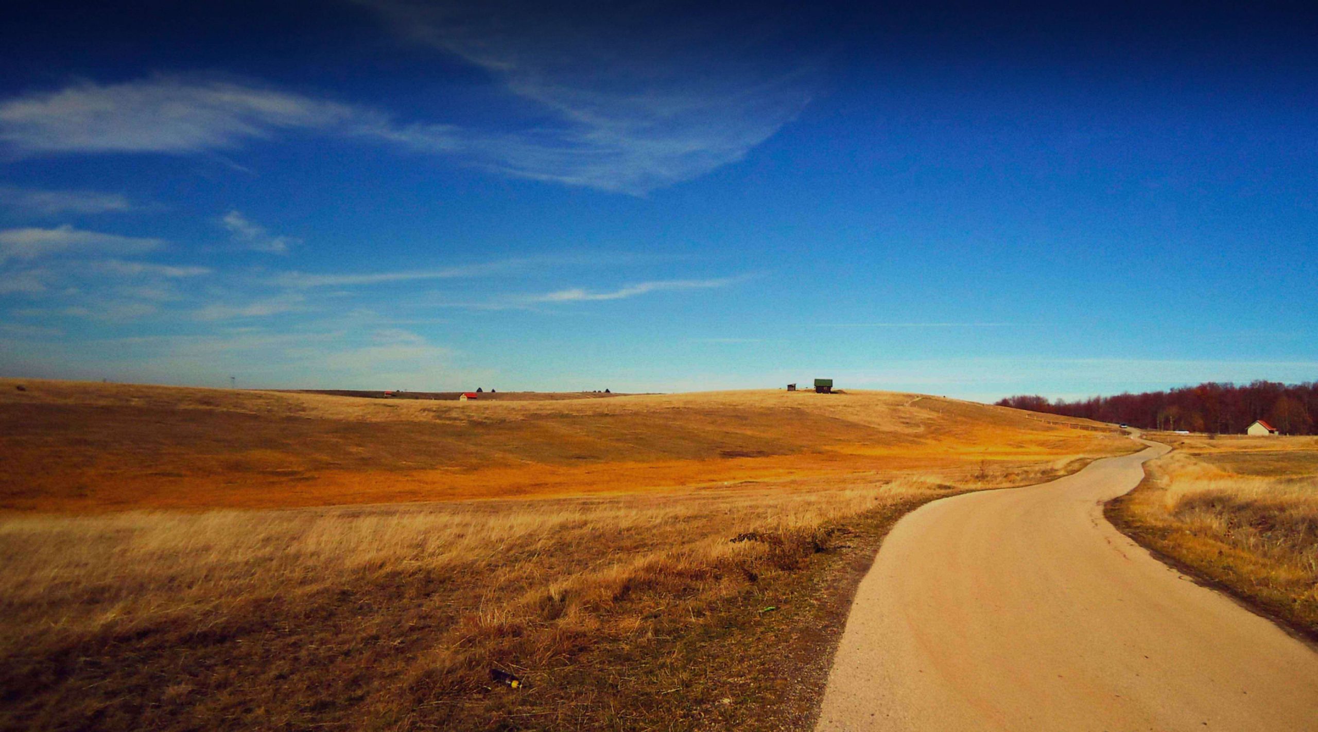 Download de beste VPN voor Servië in 2025