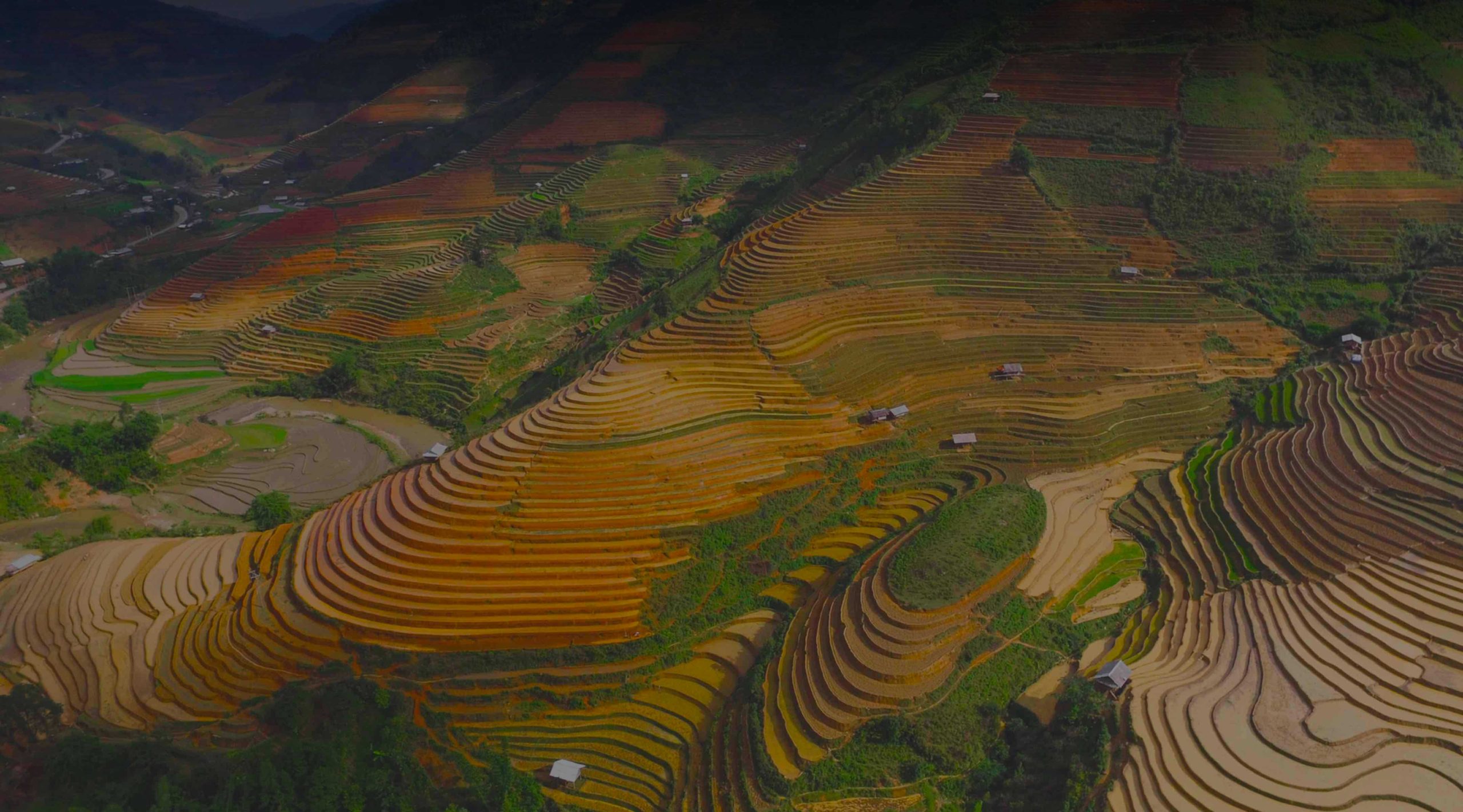 Scarica la migliore VPN per il Vietnam