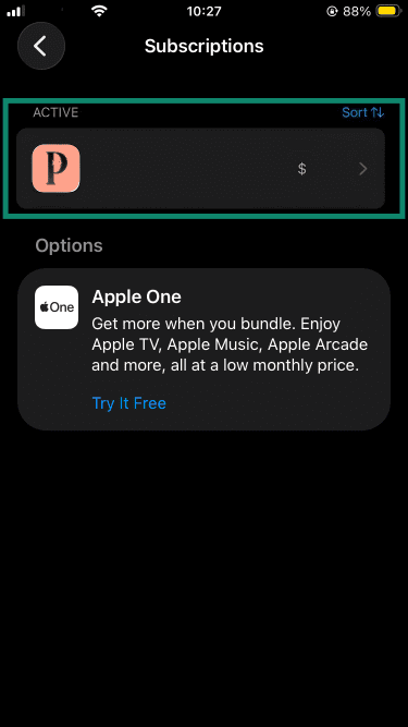 iOS subscriptions menu.